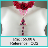 Prix : 55.00  Rfrence : CO2